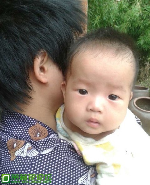 QQ图片20130803111231.jpg