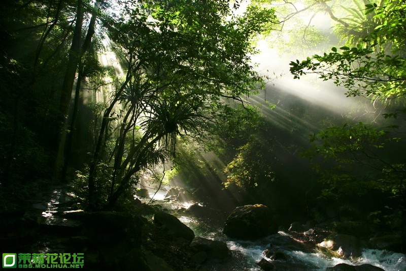 _DSC5045副本.jpg