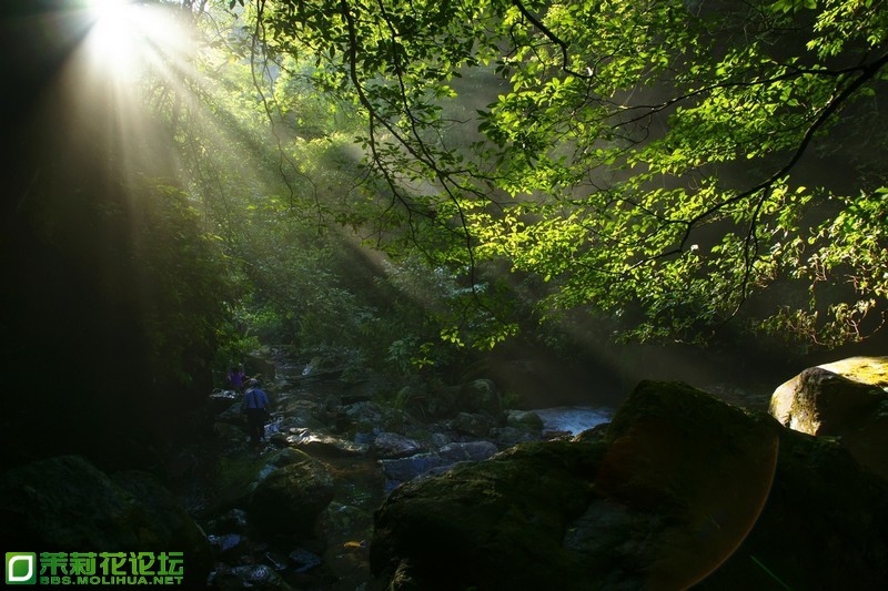 _DSC5054副本.jpg
