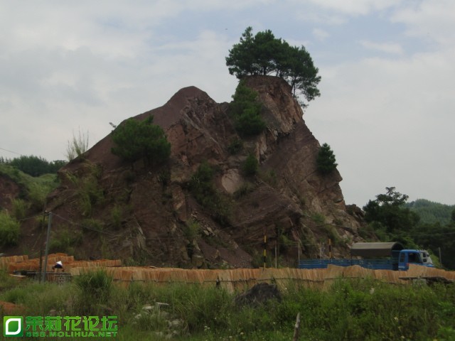 DSC07491.JPG