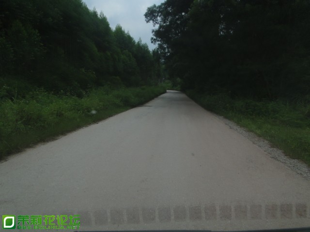 DSC07492.JPG