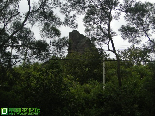 DSC07495.JPG