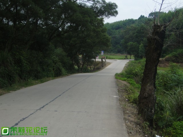 DSC07496.JPG