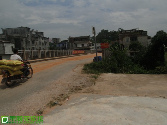 DSC07499.JPG