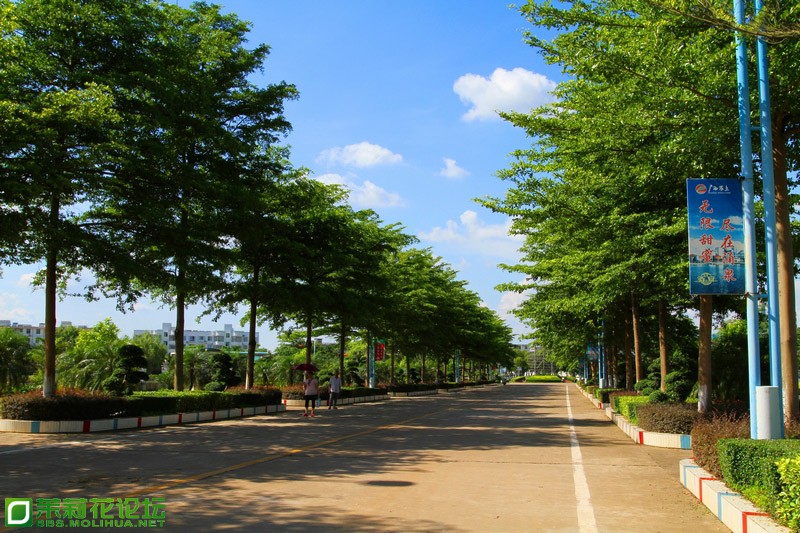 IMG_2215(无限甜蜜 尽在涌泉）.jpg