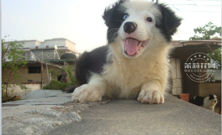 QQ图片20131014101344.jpg