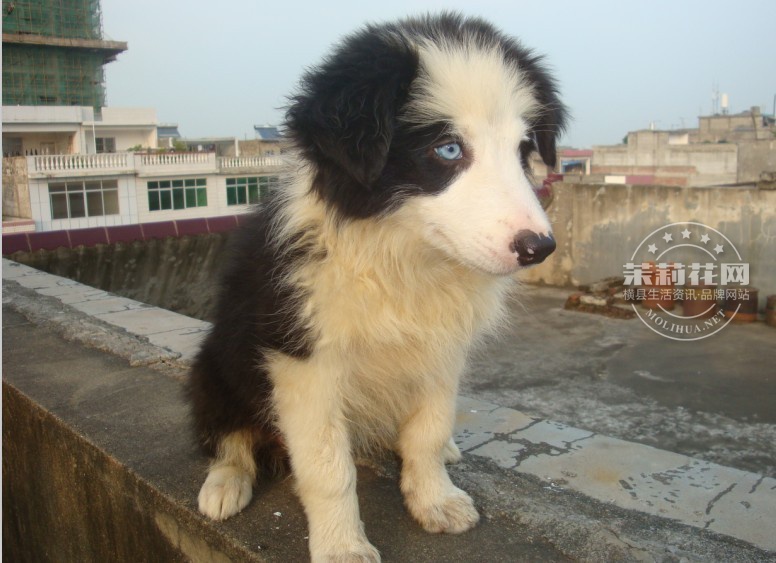 QQ图片20131014101634.jpg