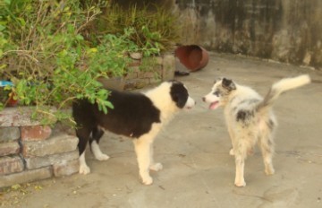 QQ图片20131014102419.jpg