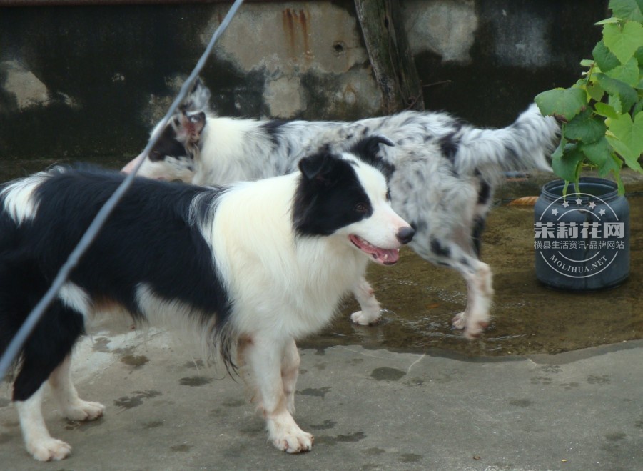 QQ图片20131014101827.jpg