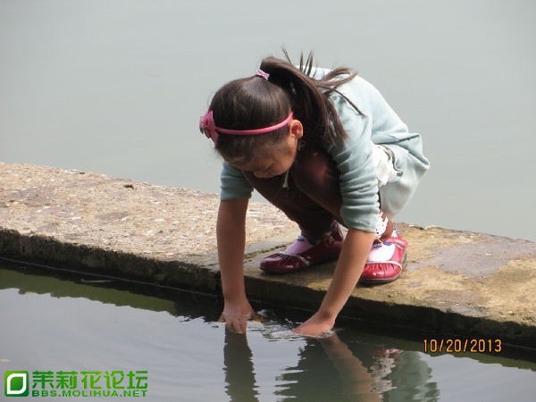 QQ图片20131021092701.jpg