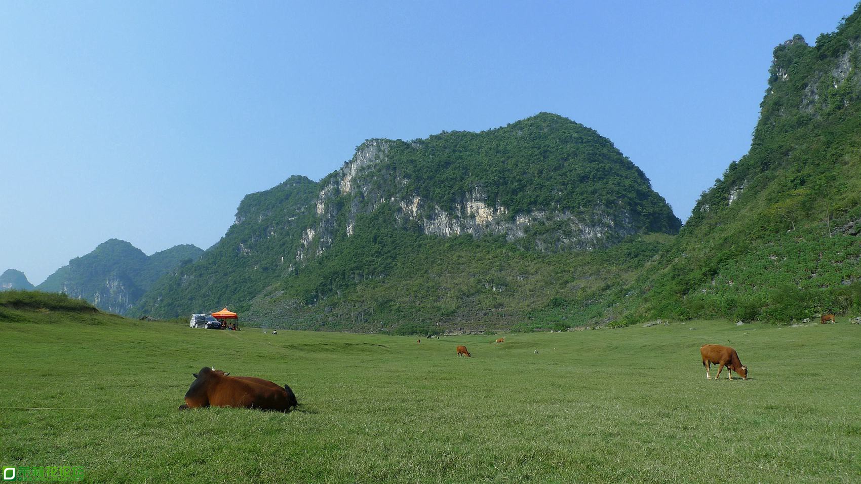 P1070670_副本.jpg