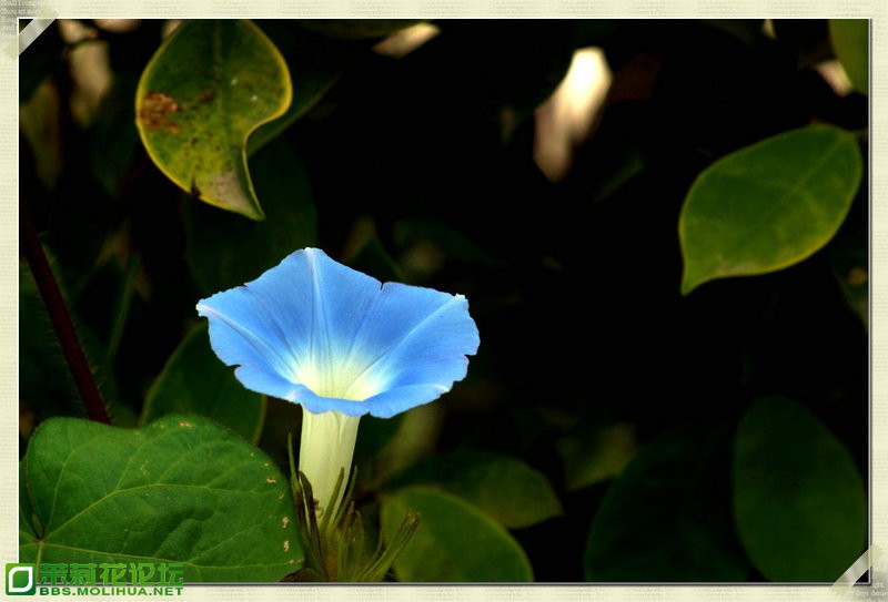 DSC02322_副本.JPG
