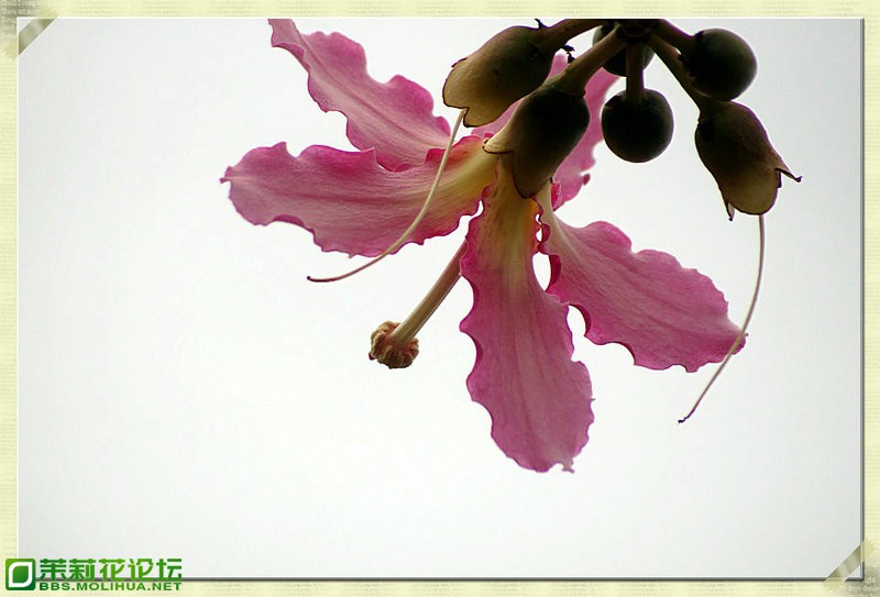 DSC02404_副本.JPG