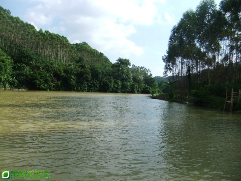 QQ图片20130919205138.jpg