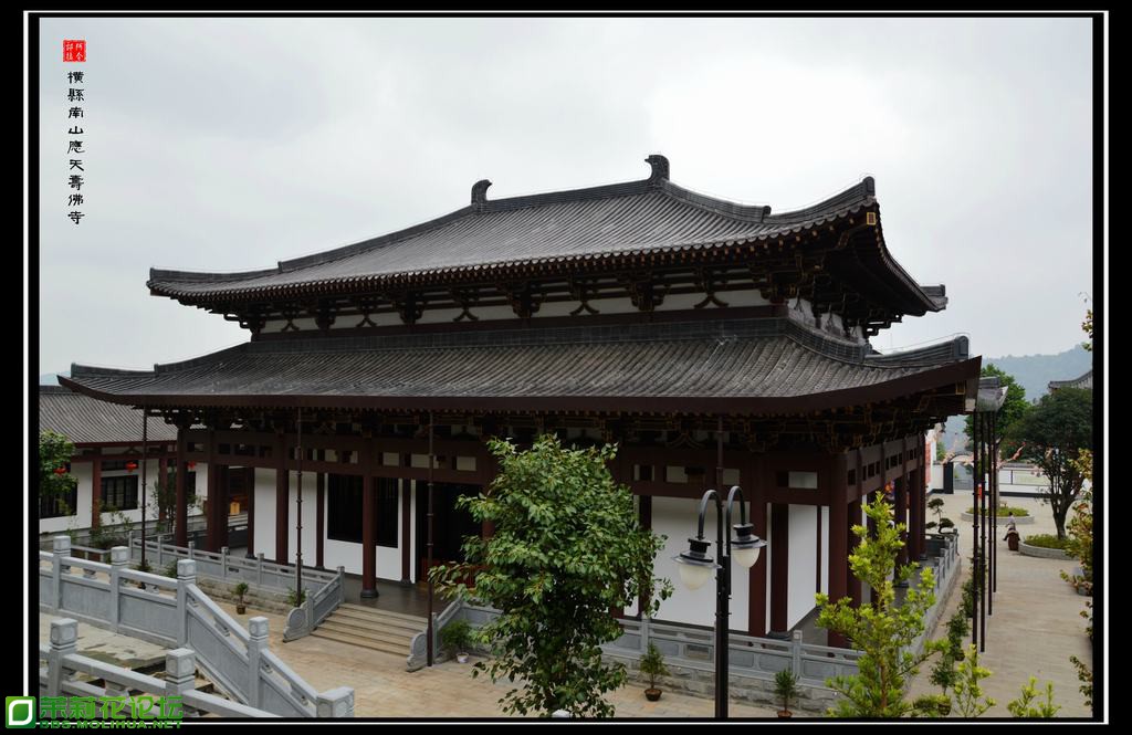 大殿后门.jpg