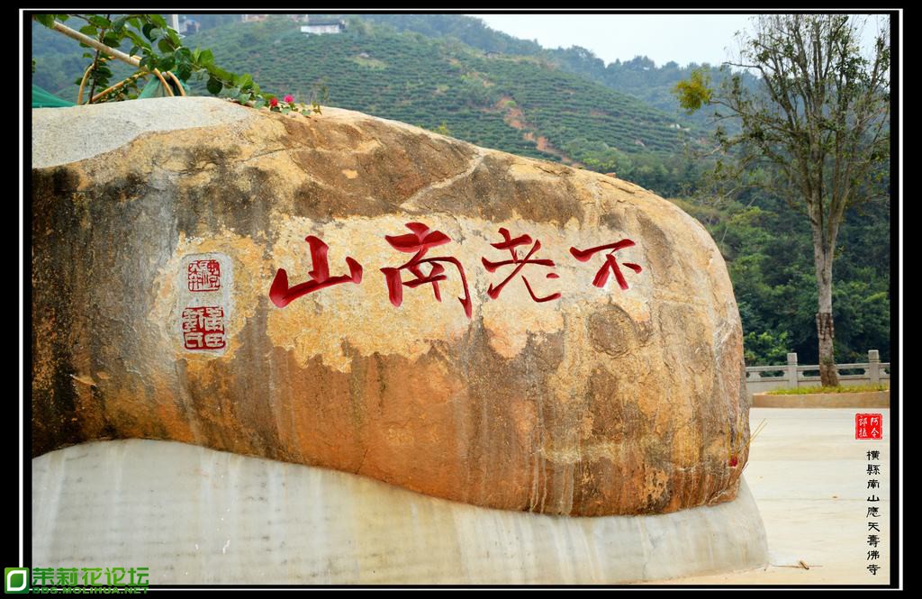 不老南山.jpg