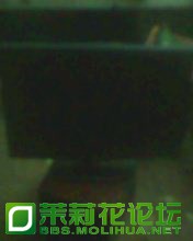 IMG0310A.jpg