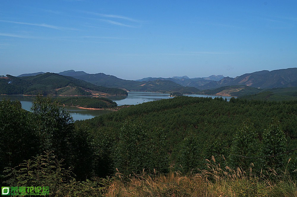 DSC04586.jpg