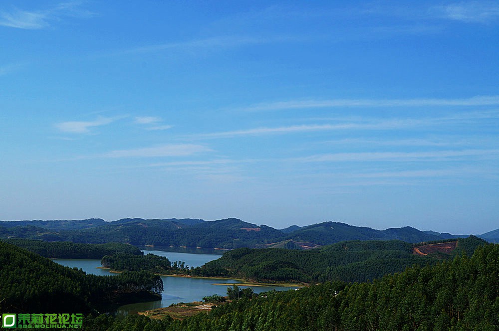 DSC04603_副本.JPG