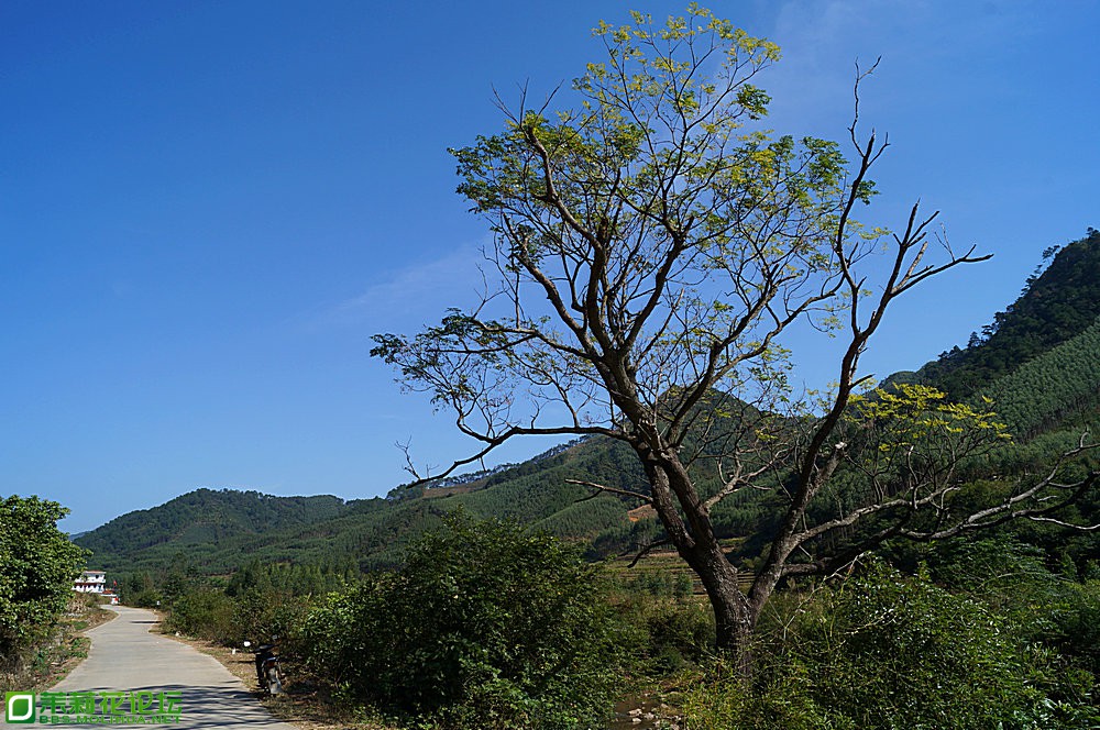 DSC04622_副本.JPG
