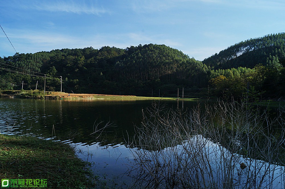 DSC04698.JPG