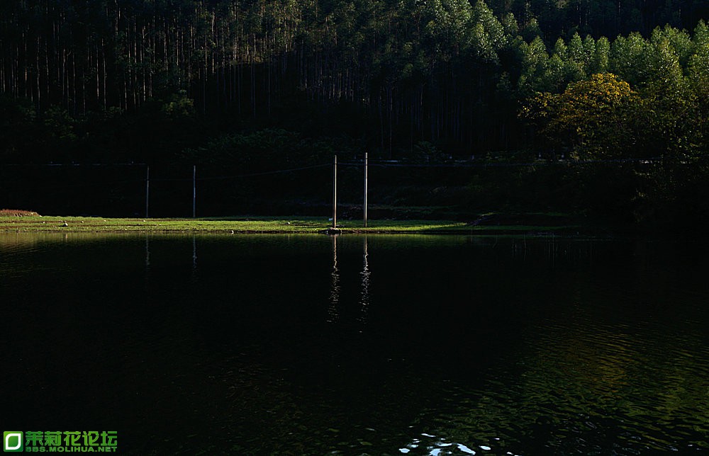 DSC04700.JPG