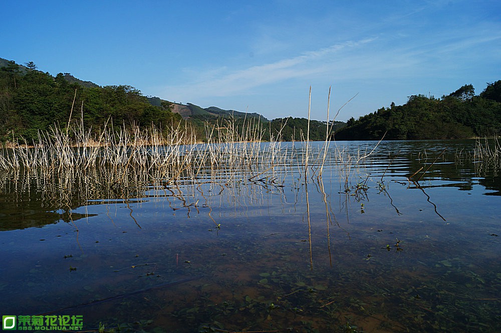 DSC04702.JPG