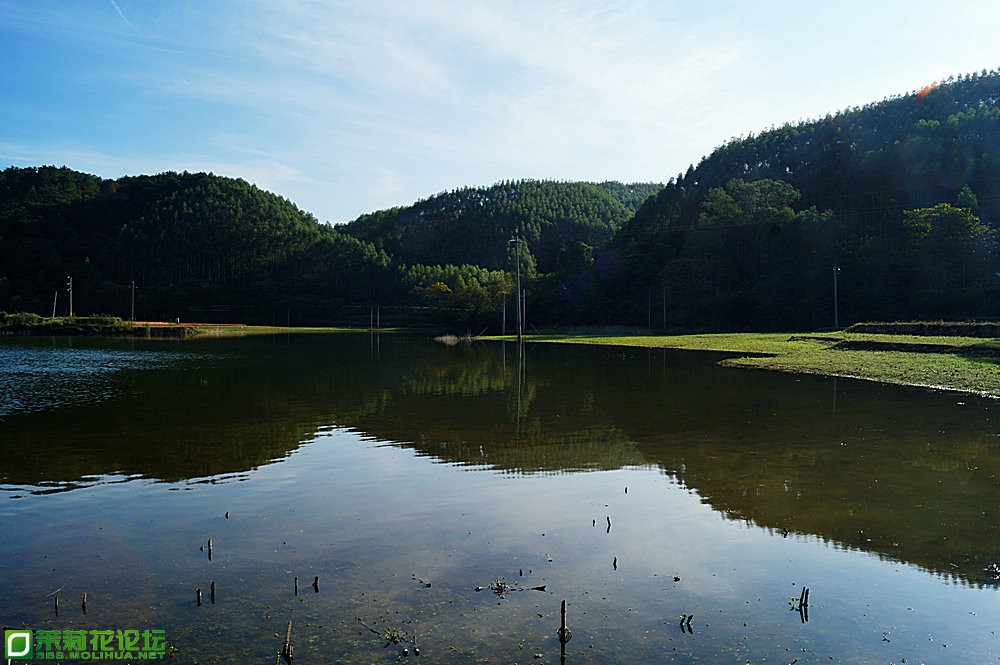 DSC04740.JPG