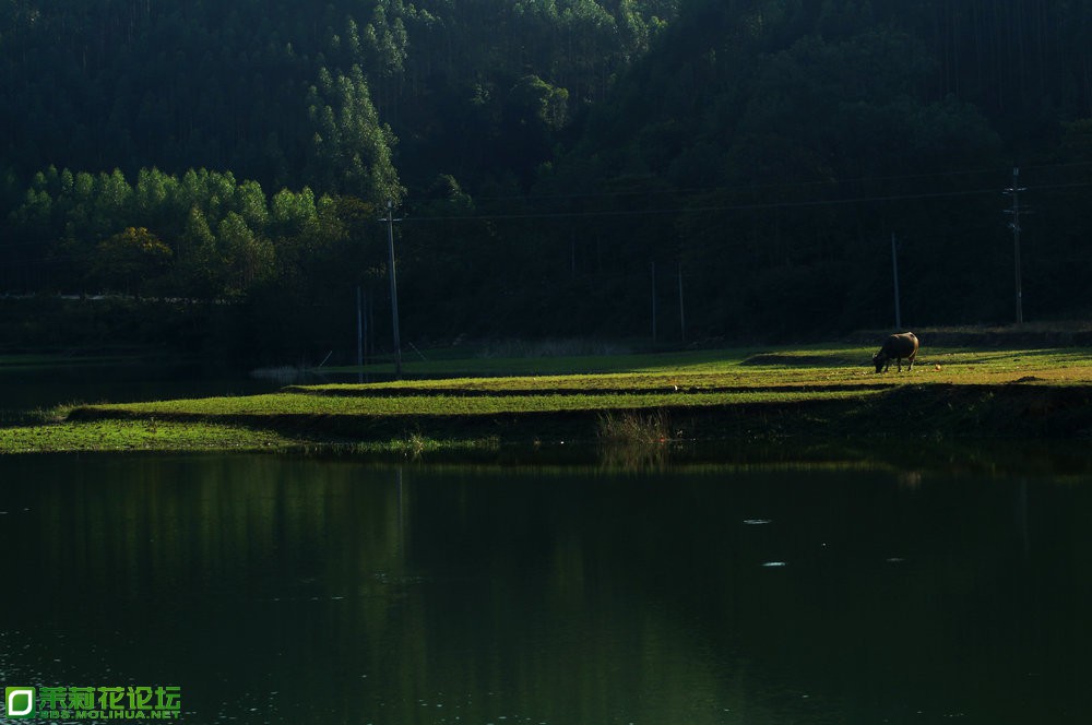 DSC04755.JPG