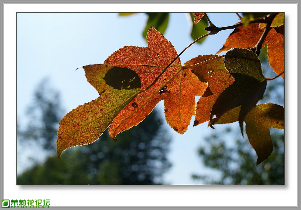 DSC05201.jpg