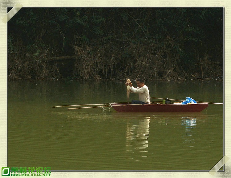 DSC05751_副本.JPG