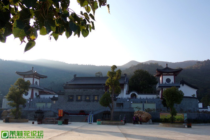 2013 08806.jpg
