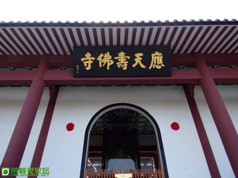 2013 11828.jpg