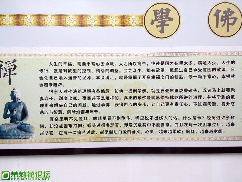 2013 11821.jpg