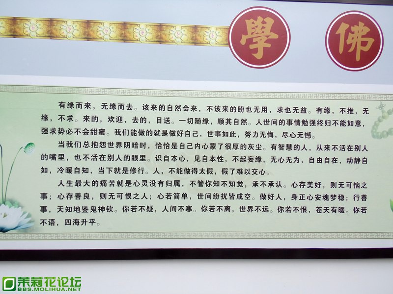 2013 11832.jpg