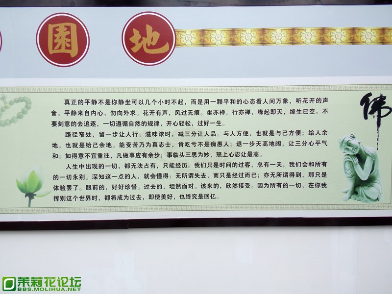 2013 11833.jpg