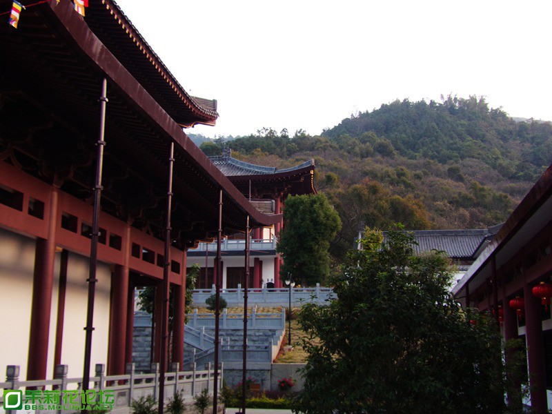 2013 17803.jpg