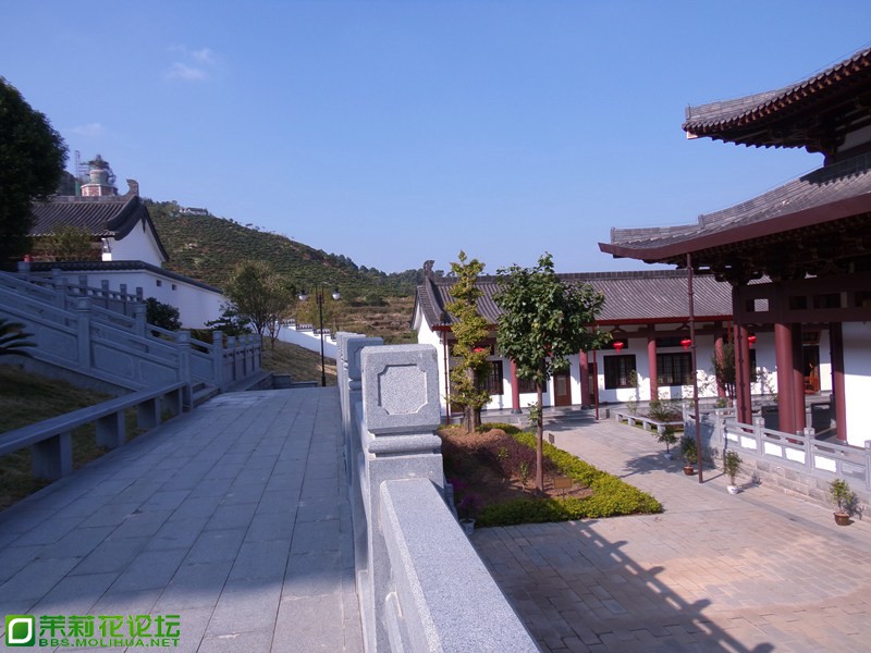 2013 10819.jpg