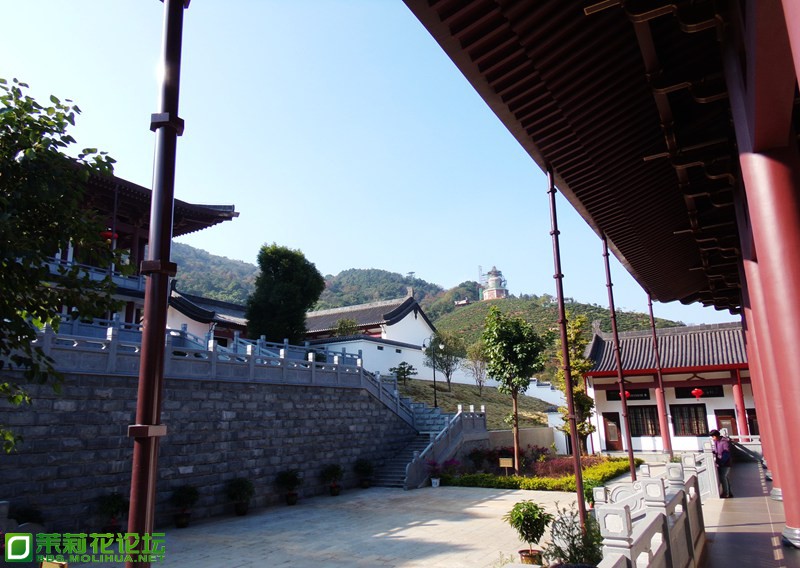 2013 10808.jpg