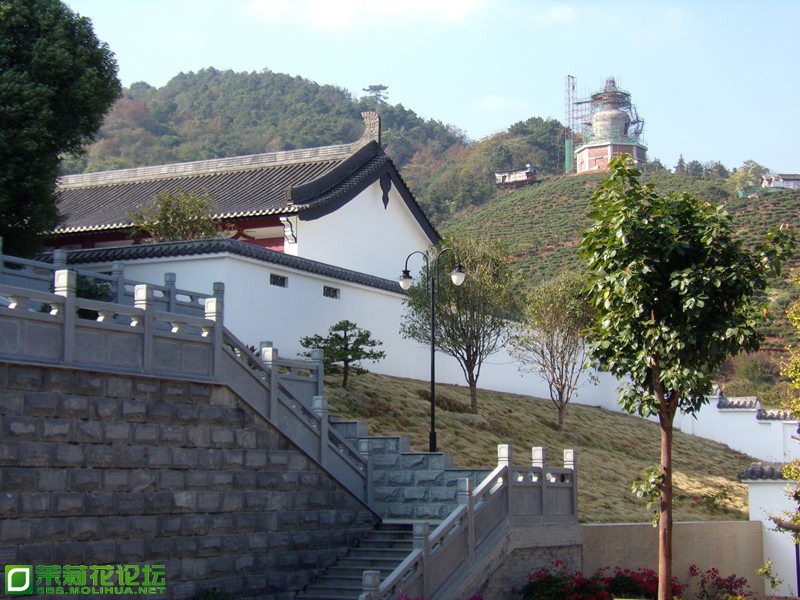 2013 10811.jpg