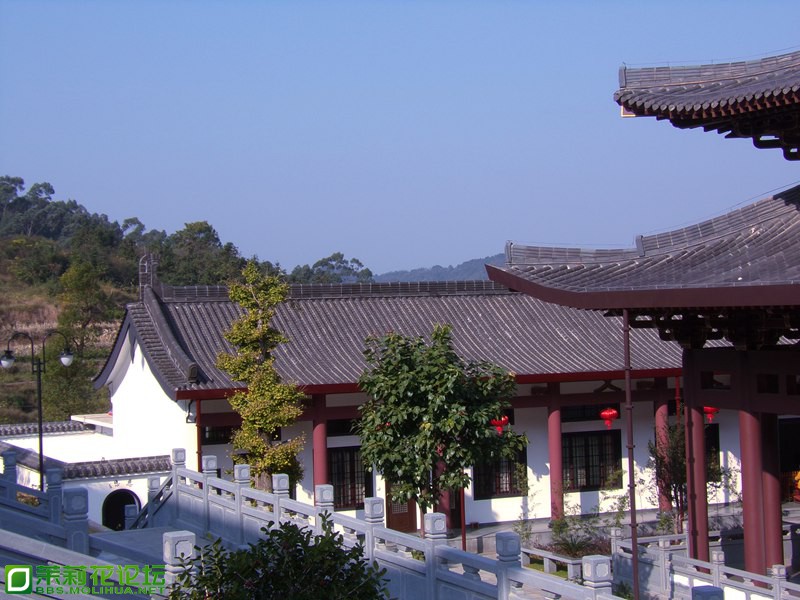 2013 10814.jpg