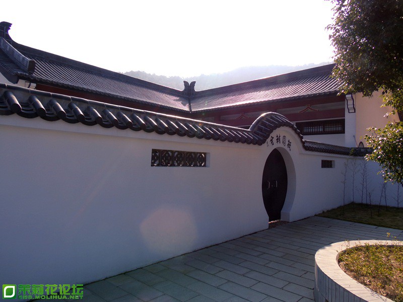 2013 10815.jpg