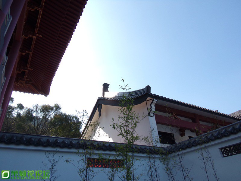 2013 10816.jpg