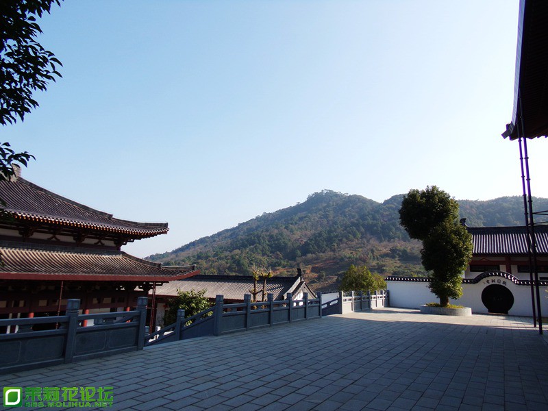 2013 10817.jpg