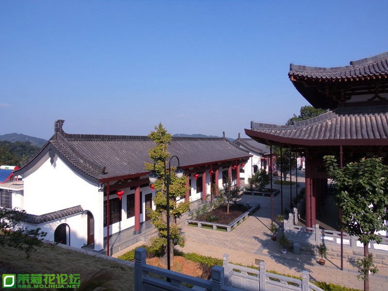 2013 10818.jpg