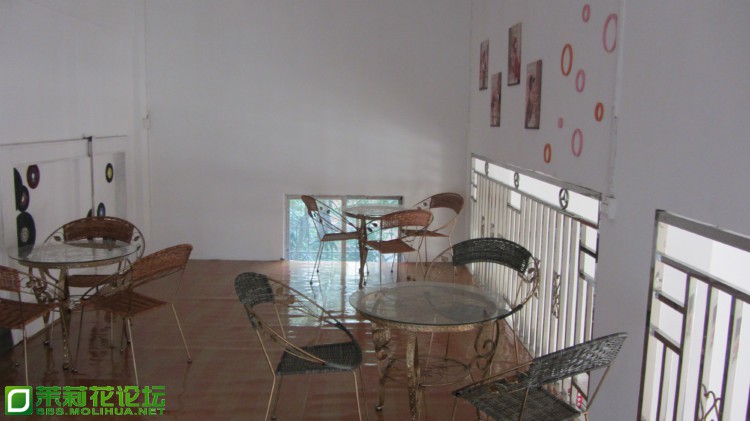 230113ztyxb5yyeyfoonjb.jpg