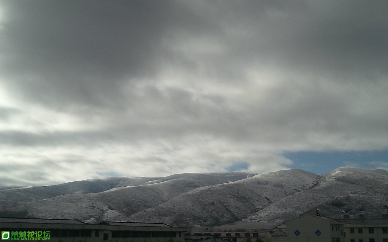 IMG_20131030_091401.jpg