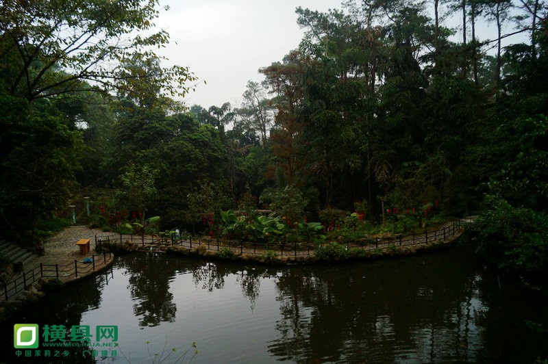 DSC07368.JPG