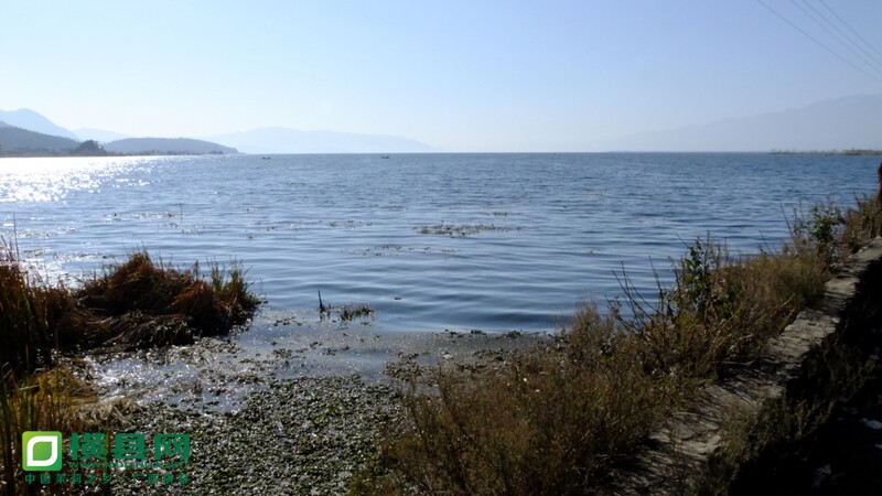 DSCF0012.jpg