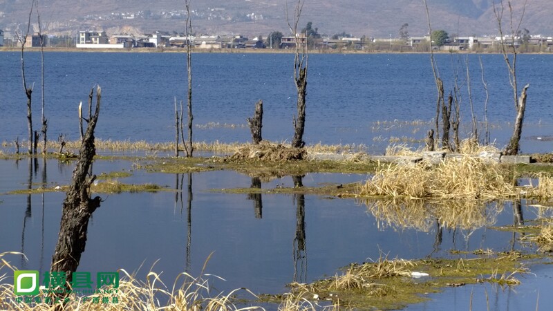 DSCF0050.jpg